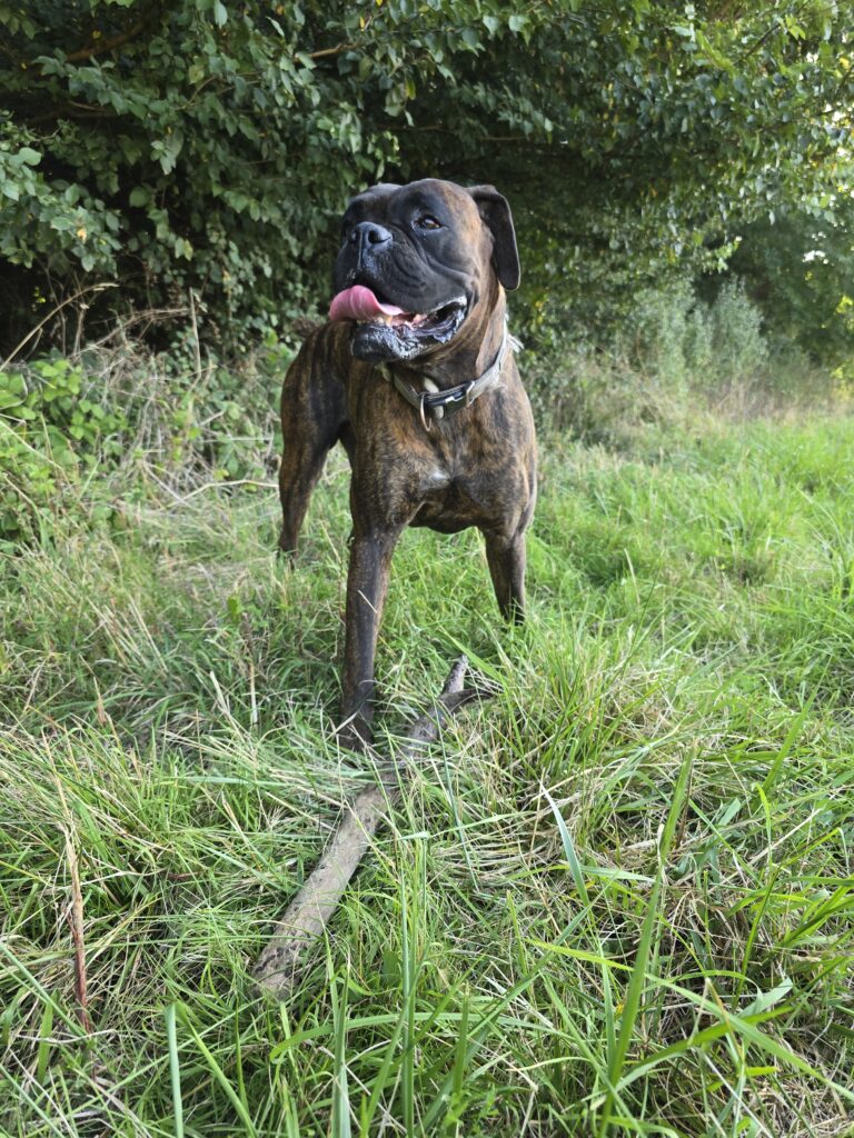 Souvenirs de garde 20250812 094649