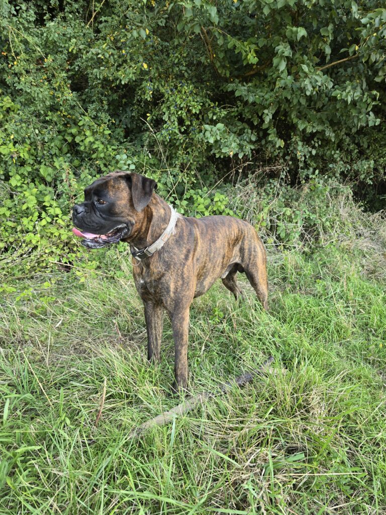 Souvenirs de garde 20250812 094709