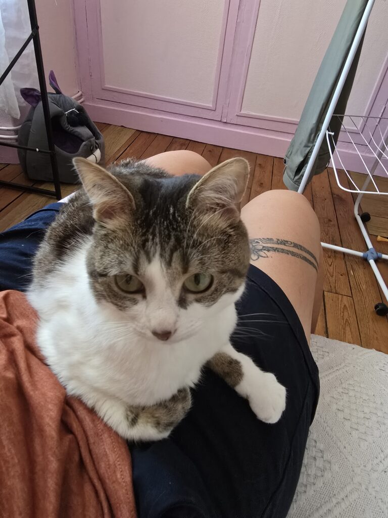 Souvenirs de garde 20250812 121136