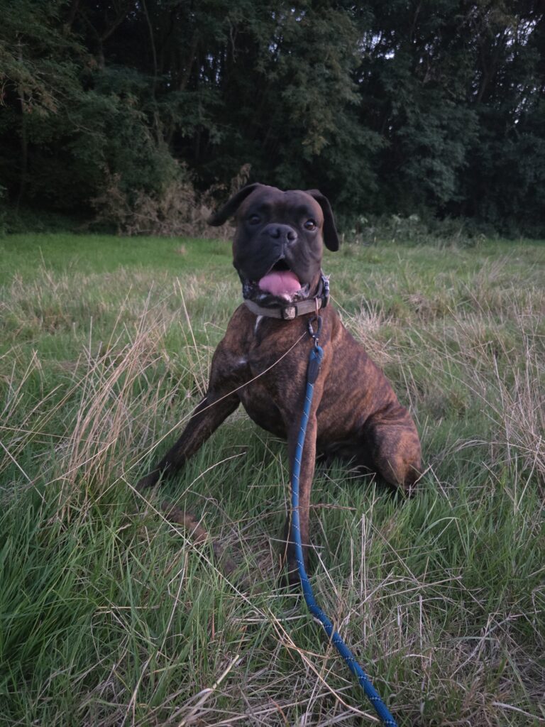 Souvenirs de garde 20250812 213221