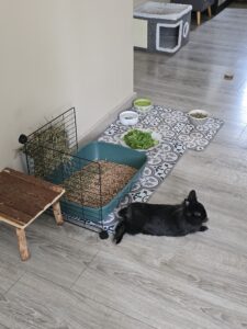 Souvenirs de garde 20250813 160231