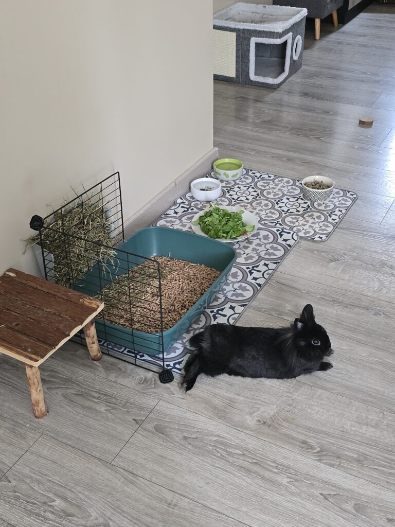 Souvenirs de garde 20250813 160231