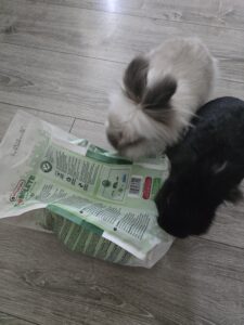 Souvenirs de garde 20250815 153711