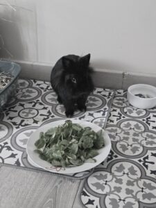 Souvenirs de garde 20250815 154343