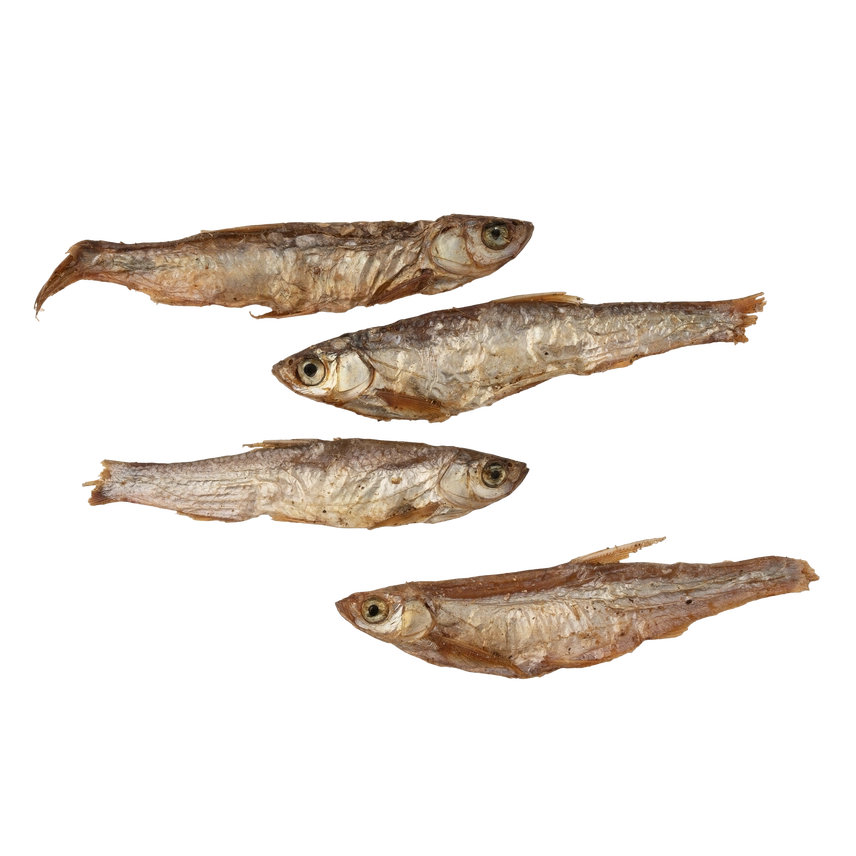 auto draft auto draft