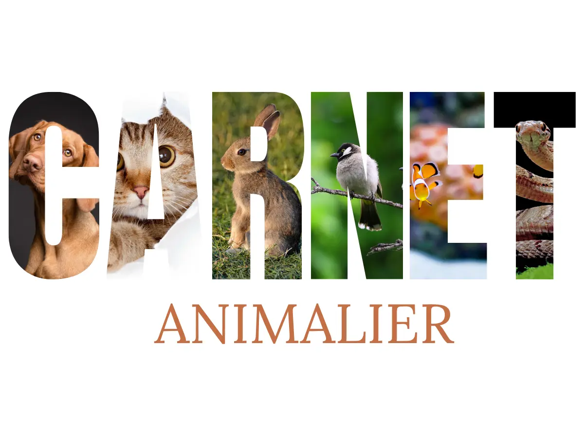 Logo Carnet Animalier avec des photographies de chiens, chats, lapins, oiseaux, poissons et reptiles intégrées aux lettres.
